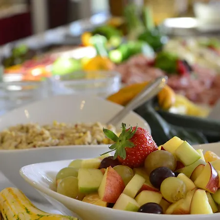 Plaza 호텔 레온베르크